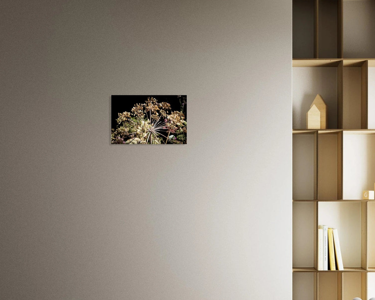 Botanischer Kunstdruck mit filigranen Samenständen, feinen Stängeln und warmem Spätsommerlicht