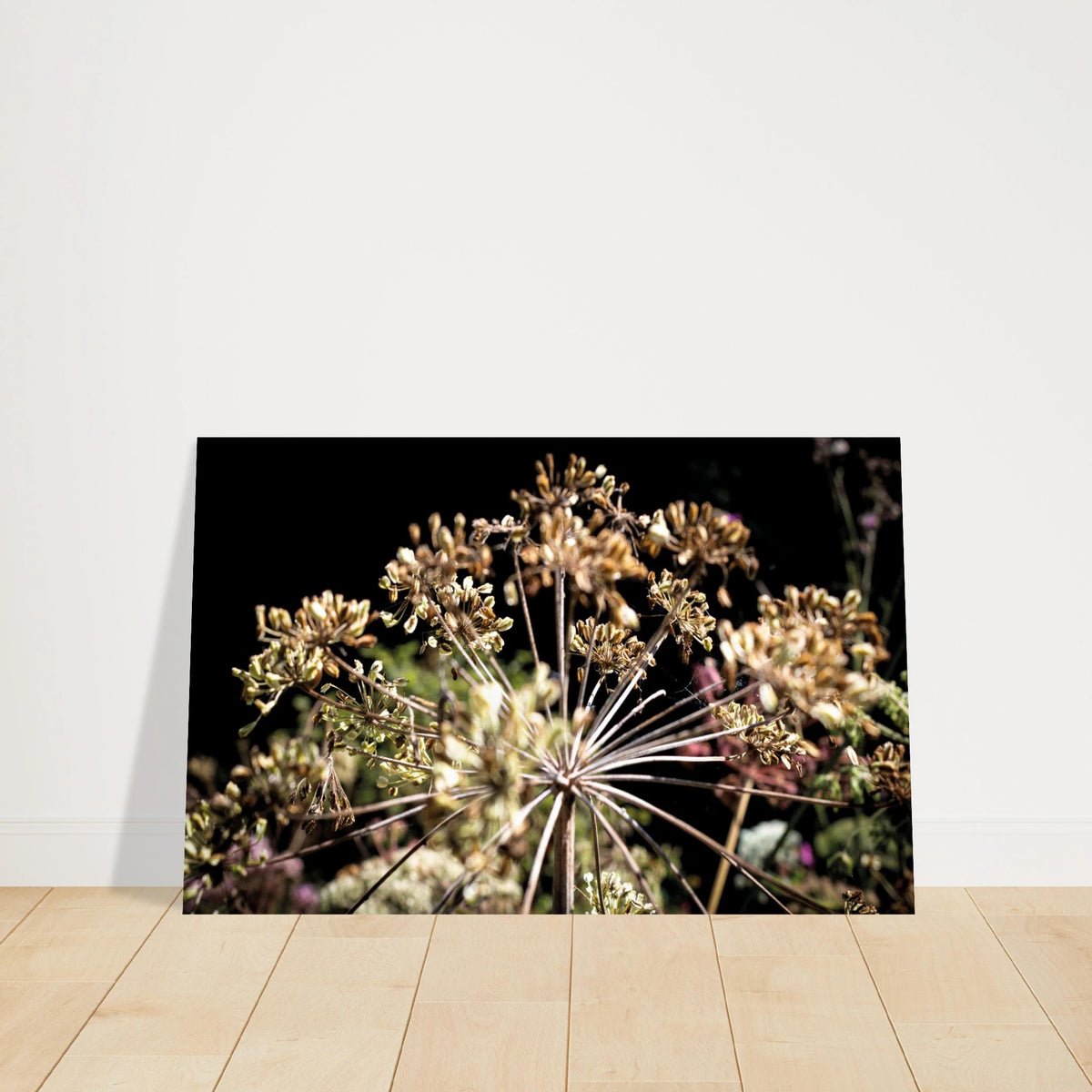 Horizontaler Fine-Art-Kunstdruck im Format 28 × 43 cm mit getrockneten Samenständen und dunklem Hintergrund