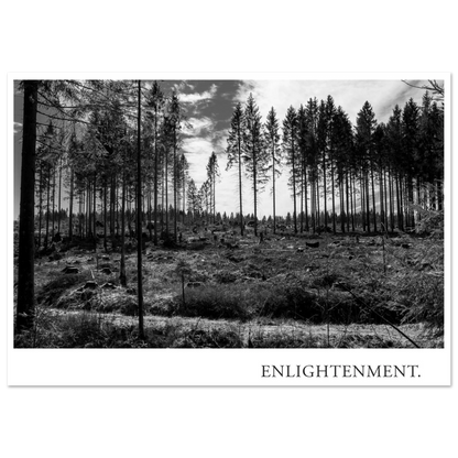Schwarzweiß Wald Fotografie ENLIGHTENMENT mit verbliebenen hohen Fichten, gerodeter Waldfläche und Baumstümpfen als Fine Art Kunstdruck von Mano et Arte