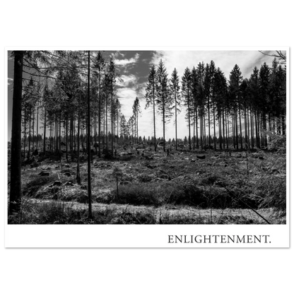 Atmosphärische Schwarzweiß Fotografie einer teilweise gerodeten Waldlandschaft mit Baumstümpfen, hohen Fichten und weitem Himmel unter dem Titel ENLIGHTENMENT