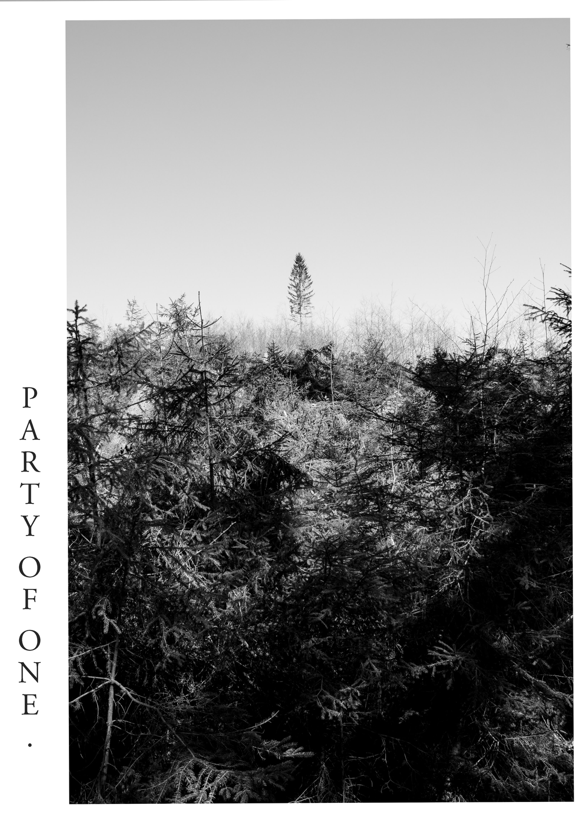 PARTY OF ONE aus dem vierteiligen IN PERSPECTIVE Kunstdruck Set mit einzelnem hohen Baum über dichtem Wald, großem freien Himmel und vertikaler Typografie