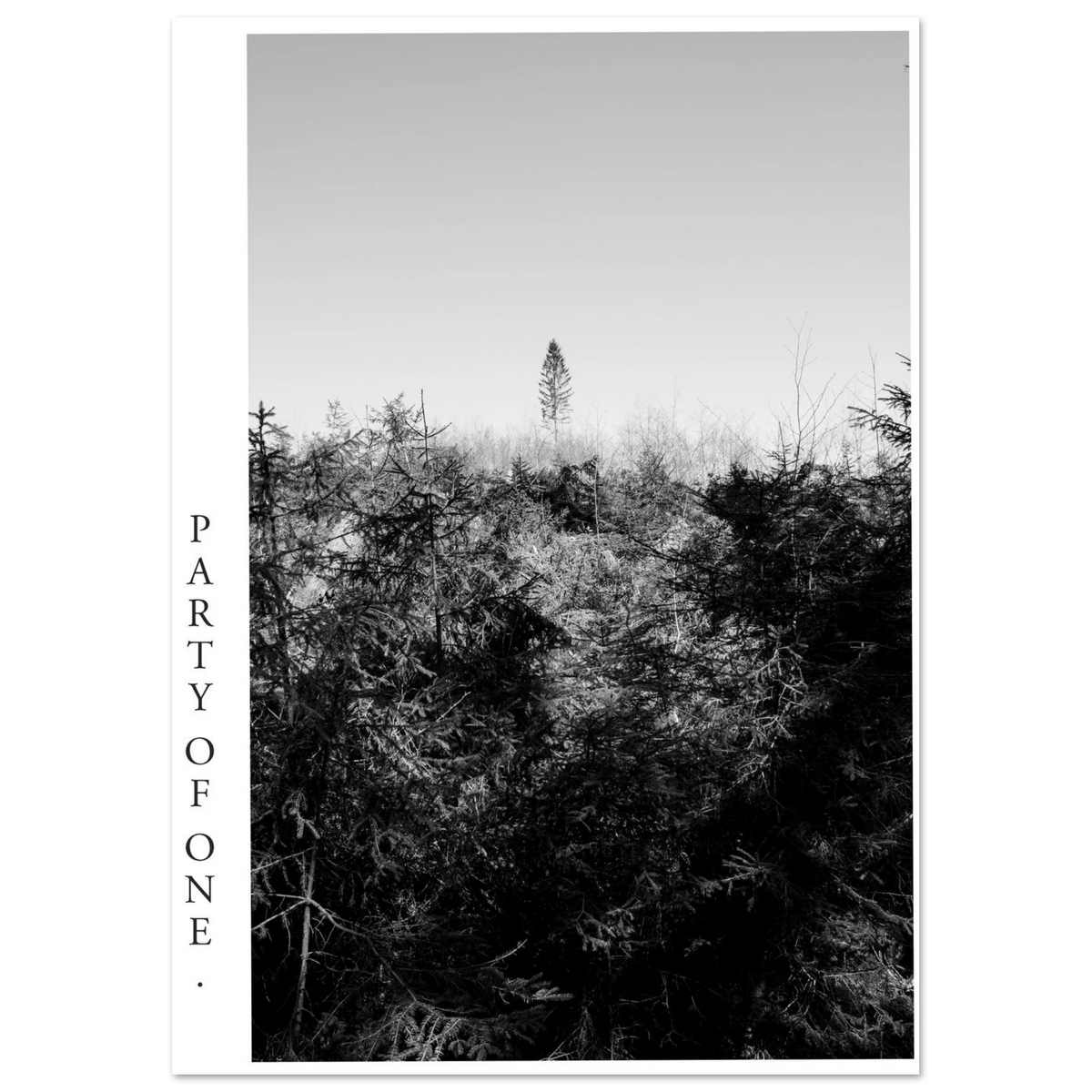 Schwarzweiß Fotografie PARTY OF ONE mit einzelnem hohen Baum über einer dichten Waldlandschaft und großem freien Himmel als Fine Art Kunstdruck im Hochformat