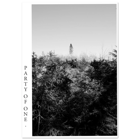 Schwarzweiß Fotografie PARTY OF ONE mit einzelnem hohen Baum über einer dichten Waldlandschaft und großem freien Himmel als Fine Art Kunstdruck im Hochformat