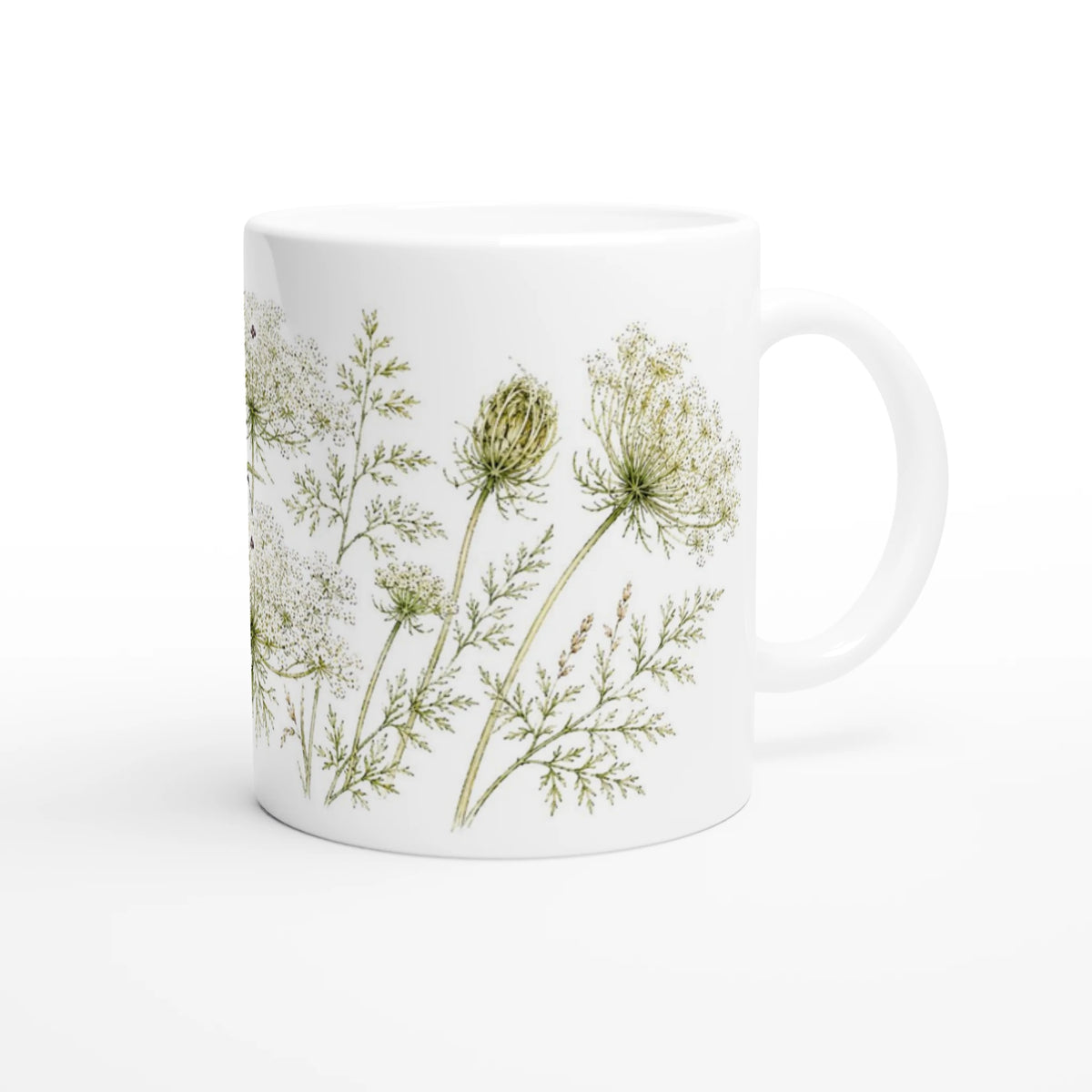 Weiße Keramiktasse mit Wilder Möhre, offenen weißen Blütendolden, geschlossenem Samenstand und filigranem grünen Blattwerk.